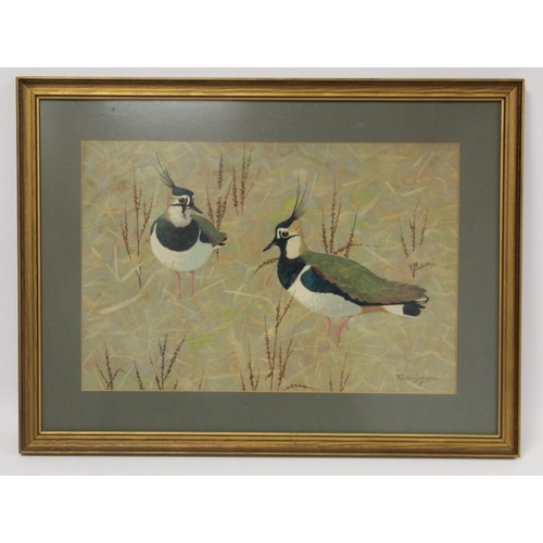 438 - Ralston Gudgeon (Scottish 1910-1984). Pair of lapwings amongst grasses.Watercolour and gouache on bu... 