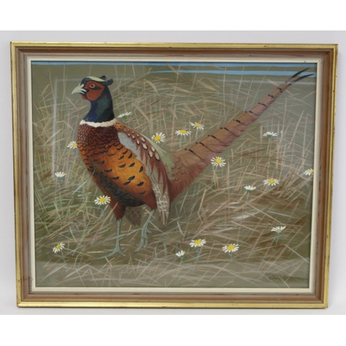 441 - Ralston Gudgeon (Scottish 1910-1984). Cock pheasant (Chinese type).Gouache on dark grey paper.51cm x... 