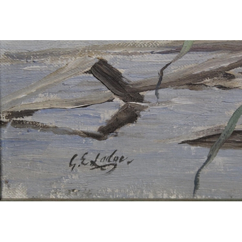 448 - George Edward Lodge (1860-1954). Mallard drake and hen amongst reeds.Oil on canvas.40cm x 60cm. Sign... 