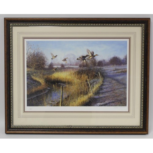 452 - Julian Novorol (b.1949), signed limited edition colour print of Wigeon ducks flying up from cover, s... 