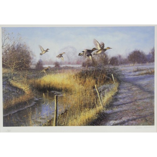 452 - Julian Novorol (b.1949), signed limited edition colour print of Wigeon ducks flying up from cover, s... 