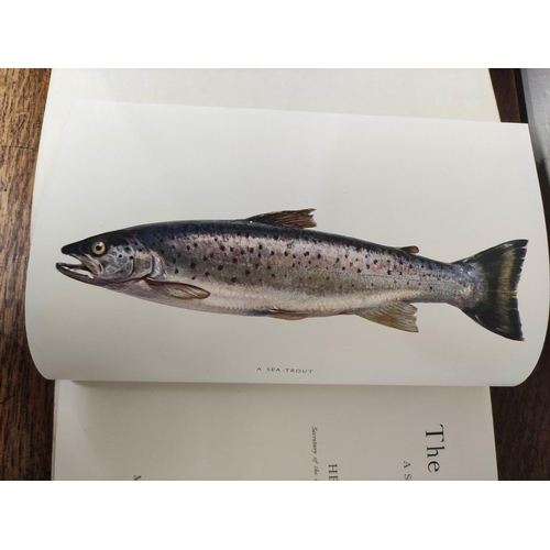 551 - Angling Books. Henry Lamond, The Sea-Trout, plates & illus., quarto, orig. green cloth, 1916; Hu... 