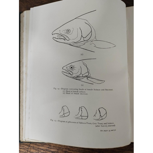 551 - Angling Books. Henry Lamond, The Sea-Trout, plates & illus., quarto, orig. green cloth, 1916; Hu... 