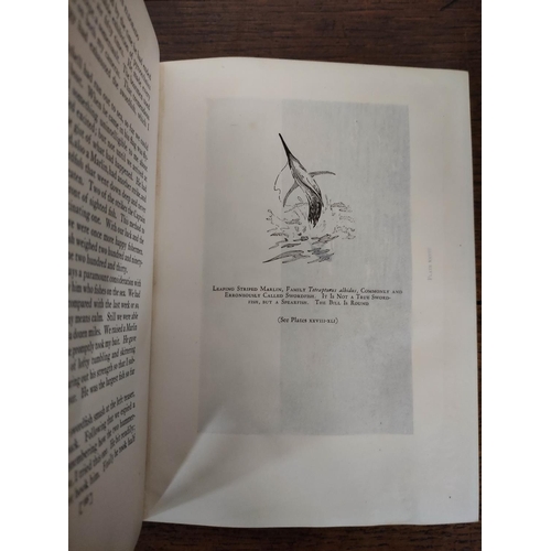 552 - Angling & Other Books. Zane Grey, Tales of the Angler`s Eldorado (New Zealand), illis., quarto, ... 