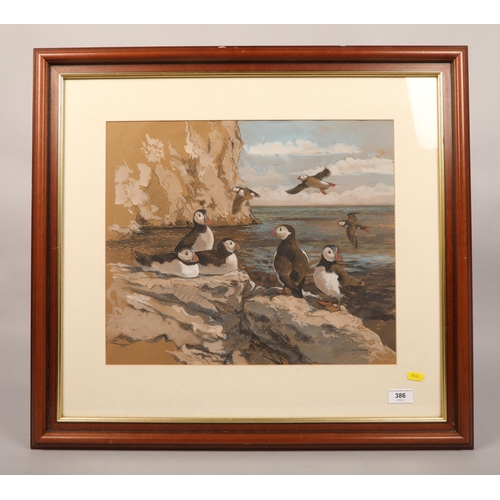 386 - S. C......' Puffins at the Bass rock, East coast of Scotland, 1994, indistinctly signed....Goache on... 