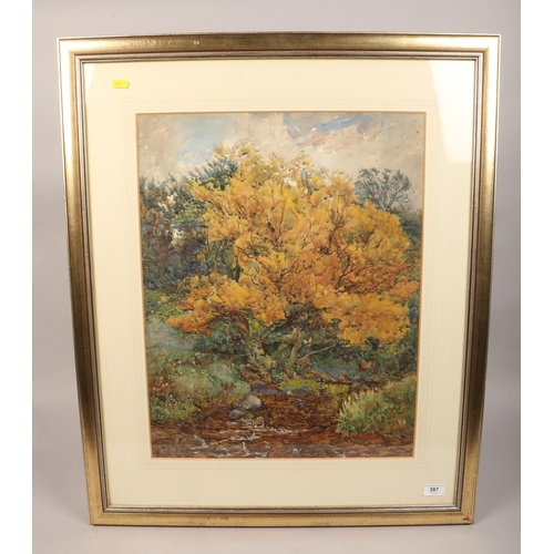 387 - F. McAllister 1808, 'Autumnal Trees' watercolour on paper, signed 45 x 57 cm ( 69 x 83 cm including ... 