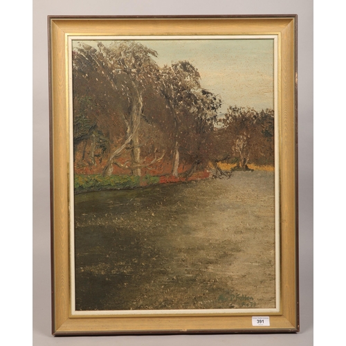 391 - A Fulton ' Wood by water' oil on board,  signed Alan Fulton 78, 44 x 58 cm, (54 x 67 including ... 