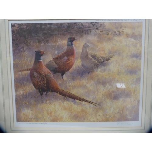 195 - R McPhailGroup of four pencil signed limited edition bird and game bird prints.  (4)... 