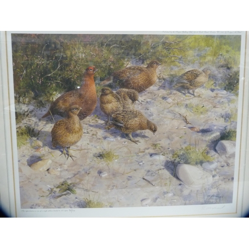 195 - R McPhailGroup of four pencil signed limited edition bird and game bird prints.  (4)... 