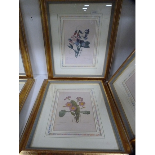 200 - Collection of six botanical prints (one shelf).