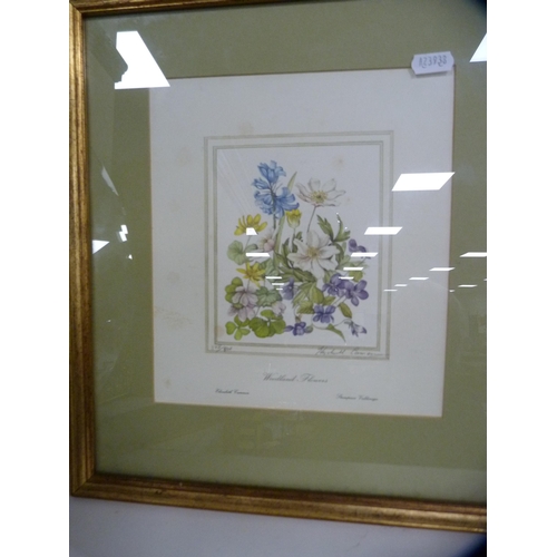 220 - After Elizabeth CameronTwo botanical prints and a still life print after Margaret Niven.  (3)... 