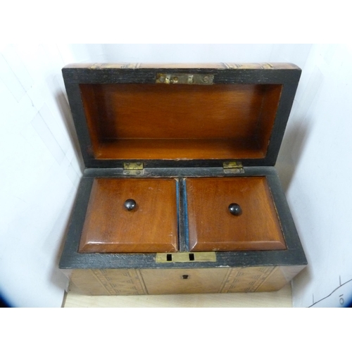 254 - Victorian marquetry walnut dome-shaped tea caddy with inserts and a similar box.  (2)