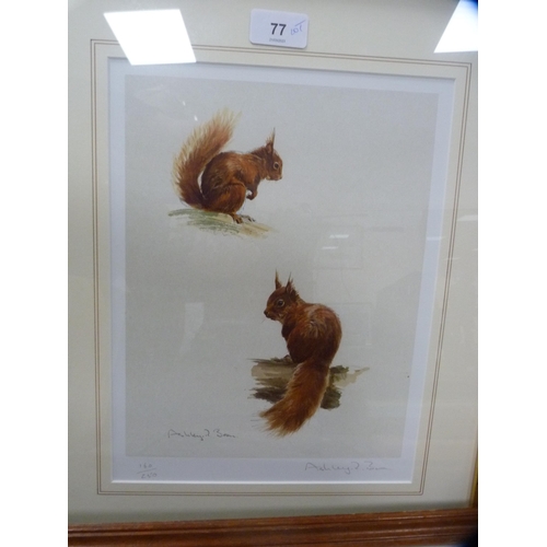 77 - Squirrel prints to include a limited edition print by Ashley Boon, no. 160/250, and a hunting-themed... 