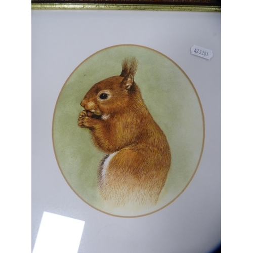 77 - Squirrel prints to include a limited edition print by Ashley Boon, no. 160/250, and a hunting-themed... 