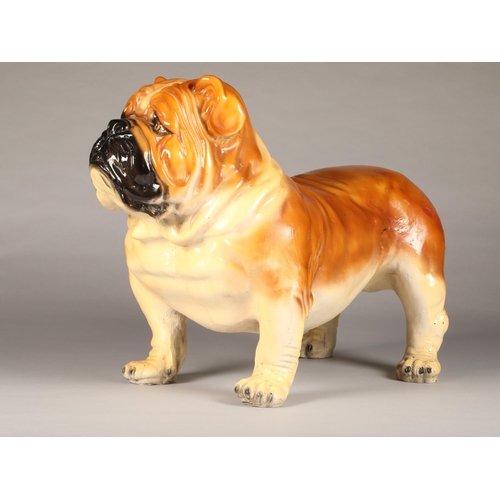 22 - Lifesize hand painted ceramic figure of a Bulldog, circa 1920's standing alert (minor repair and rec... 