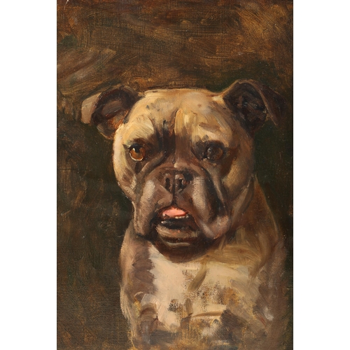 364 - Unframed 
Framed oil on board
'Portrait of a bulldog'
39cm x 32cm