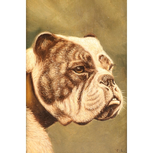 366 - Early 20th century, oil on canvas
'Brown and White Bulldog Heads'
Signed with the initials C.L.
31.5... 