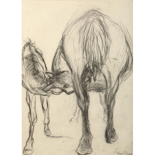 377 - Frances Richardson Framed charcoal drawing, signed and dated '92 'Mare and Foal' 70cm X 52cm