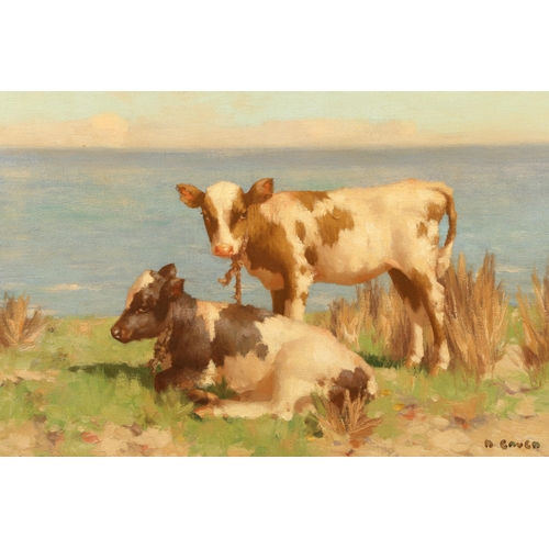 430 - David Gauld R.S.A. (Scottish 1866-1936) Gilt framed oil on board, signed 'Calves By The Solway' 50cm... 