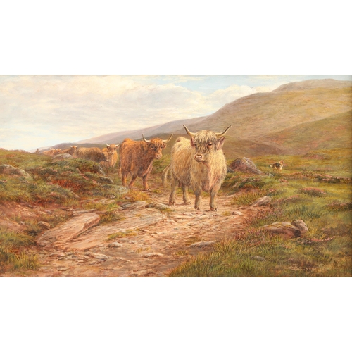 437 - William I Luker (British Born 1867-1951) Gilt framed oil on board, signed 'Driven Highland Cattle' 2... 