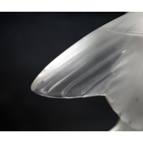 172 - Modern Lalique frosted glass paperweight in the form of a sparrow with outstretched wings, incised m... 