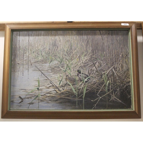 448 - George Edward Lodge (1860-1954). Mallard drake and hen amongst reeds.Oil on canvas.40cm x 60cm. Sign... 