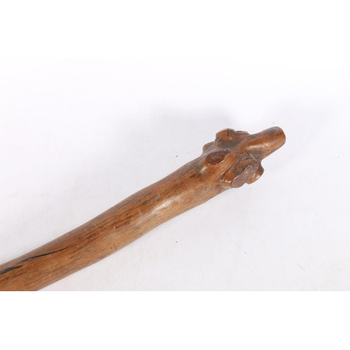 578 - Fijian root wood pole club of Vanikau or Waka Melanesia type with tavatava carved grip, 110cm long.