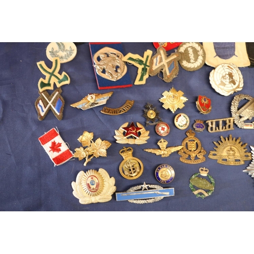 569 - Large collection of military cap badges etc. to include an Argyll and Sutherland Highlanders plaid b... 