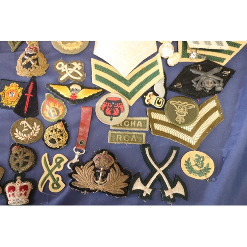 569 - Large collection of military cap badges etc. to include an Argyll and Sutherland Highlanders plaid b... 