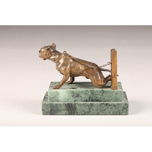 221 - Continental bronze figure of a chained bulldog signed A.Berg, mounted to a stepped green marble base... 