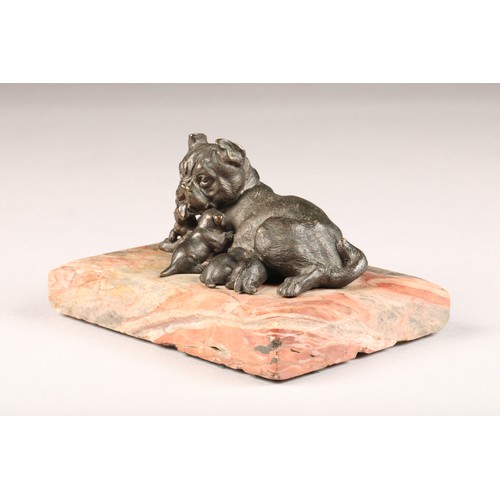 223 - French bronze figure of a bulldog and four pups, mounted to a rectangular rouge marble base, length ... 