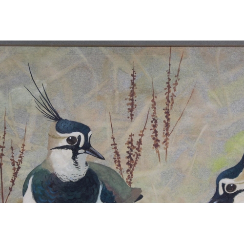 438 - Ralston Gudgeon (Scottish 1910-1984). Pair of lapwings amongst grasses.Watercolour and gouache on bu... 