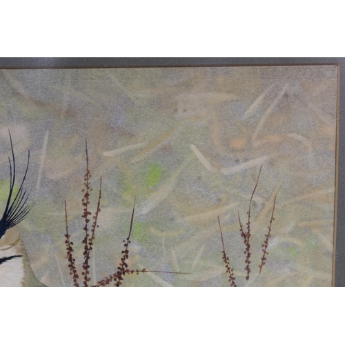 438 - Ralston Gudgeon (Scottish 1910-1984). Pair of lapwings amongst grasses.Watercolour and gouache on bu... 