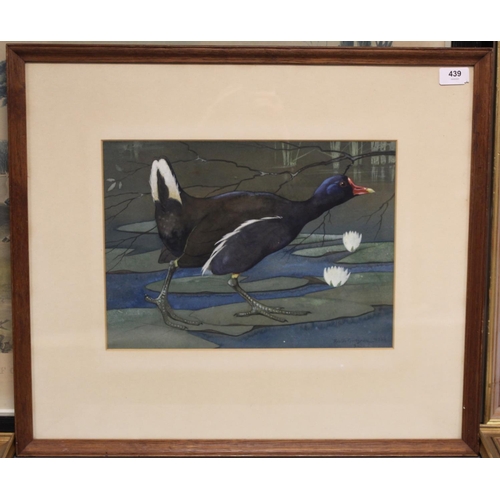 439 - Ralston Gudgeon (Scottish 1910-1984). A moorhen walking across waterlily pads.Watercolour and gouach... 