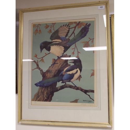 443 - Ralston Gudgeon (Scottish 1910-1984) colour print of two magpies on a branch. 54cm x 42cm. No. 6/100... 