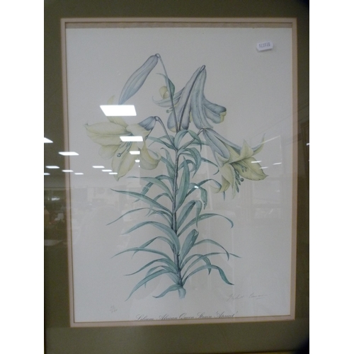 133 - After Elizabeth CameronTwo botanical prints and a still life print after Margaret Niven.&nbsp; (3)... 