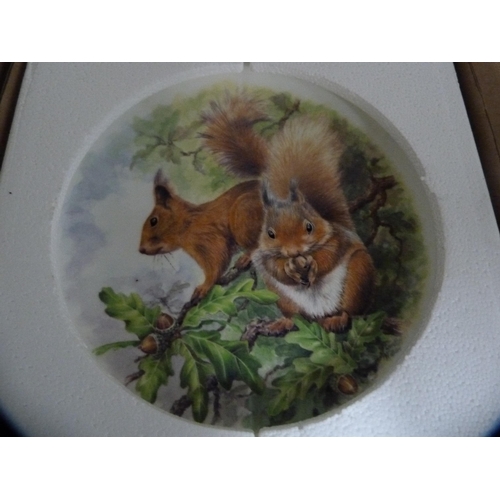 176 - Large collection of collector's plates.