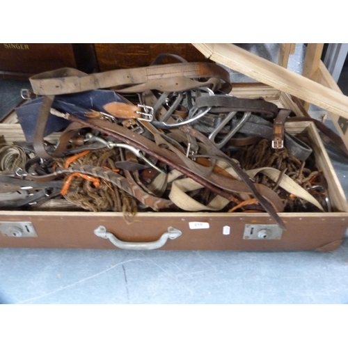 Lot 210       