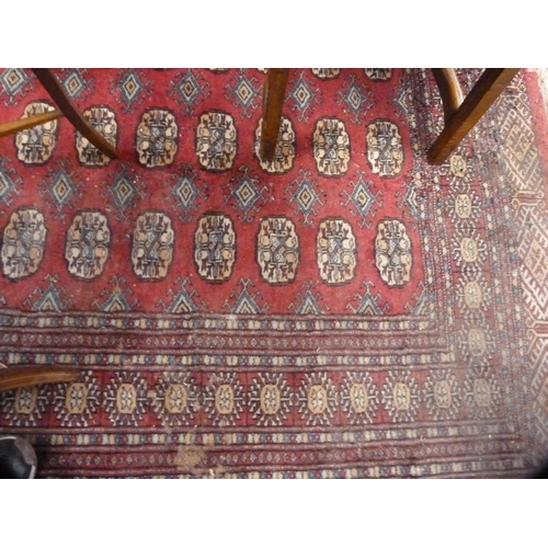 414 - Pair of Bokhara-style red ground rugs.