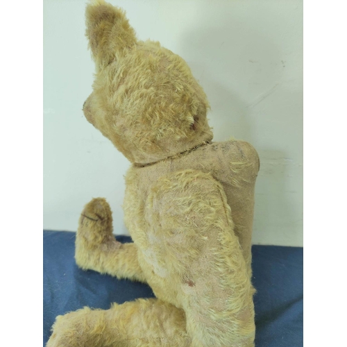 57 - Early 20th century straw filled mohair teddy bear with hunch back a/f.