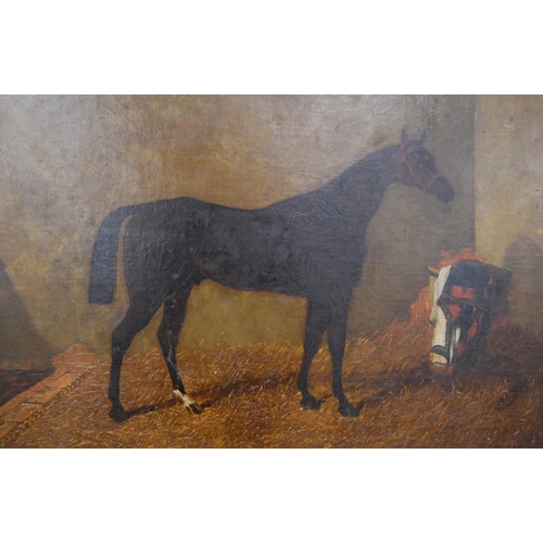 306 - JB Wilson (British, 19th Century)Satirist (stallion in stables)Initialled JBW, oil on canvas, c. 184... 