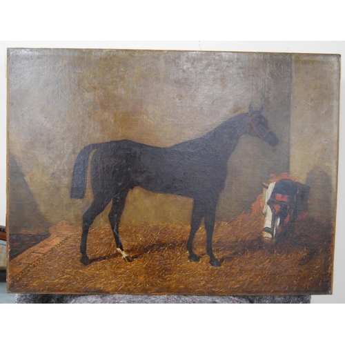 306 - JB Wilson (British, 19th Century)Satirist (stallion in stables)Initialled JBW, oil on canvas, c. 184... 