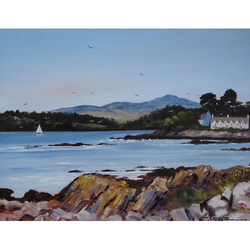 315 - Jim Sturgeon (Scottish, 1931 - 2006)Rockcliffe looking towards ScreelSigned, oil on canvas, 33.5cm x... 