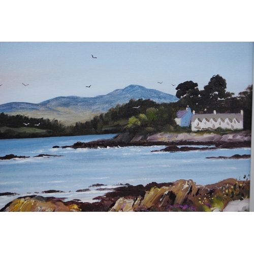 315 - Jim Sturgeon (Scottish, 1931 - 2006)Rockcliffe looking towards ScreelSigned, oil on canvas, 33.5cm x... 