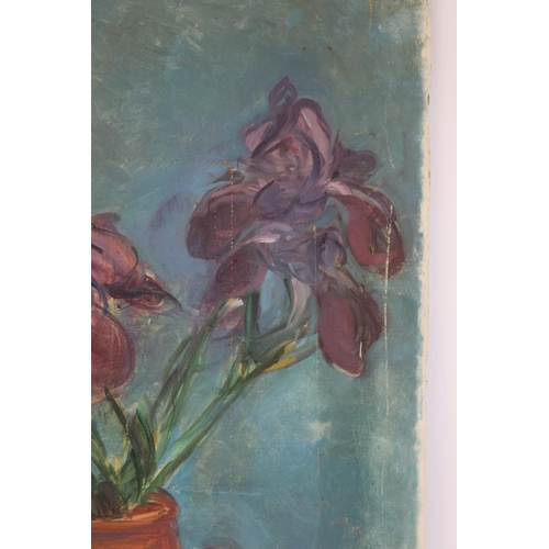 200 - Stella Steyn (Irish 1907-1987)Still life of purple irises in a terracotta jugOil on canvas, unframed... 