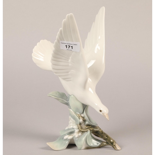 171 - Lladro figurine of a Dove