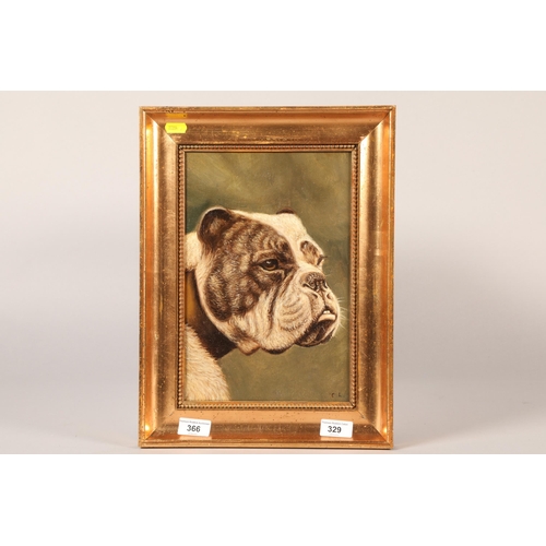 329 - Early 20th century, oil on canvas 'Brown and White Bulldog Heads' Signed with the initials C.L. 31.5... 