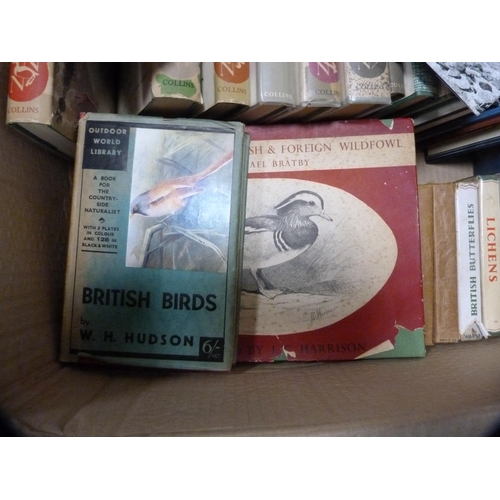 146 - Carton containing miscellaneous books to include first editions of London Natural History, birds, co... 