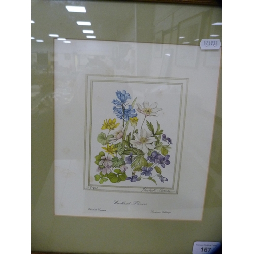 167 - After Elizabeth CameronTwo botanical prints and a still life print after Margaret Niven.  (3)... 