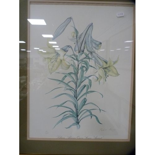 167 - After Elizabeth CameronTwo botanical prints and a still life print after Margaret Niven.  (3)... 